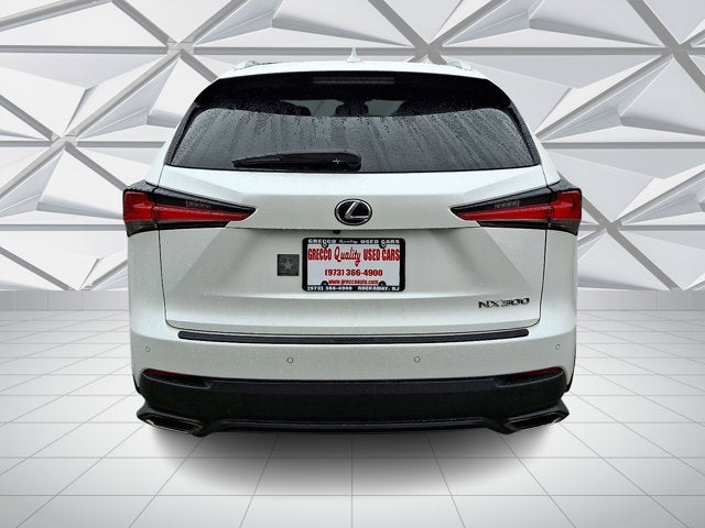 2018 Lexus NX NX 300